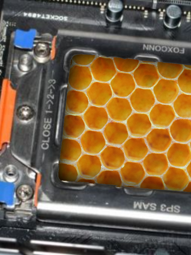 Honey Might Be The Key To Cooler, More Efficient, Biodegradable Chips
