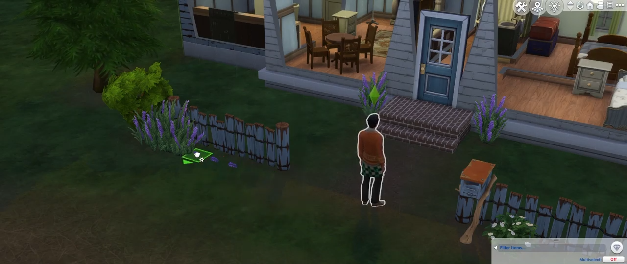 You can also uproot the plant of the flower and place it outside your house to get even more flowers whenever you need! 