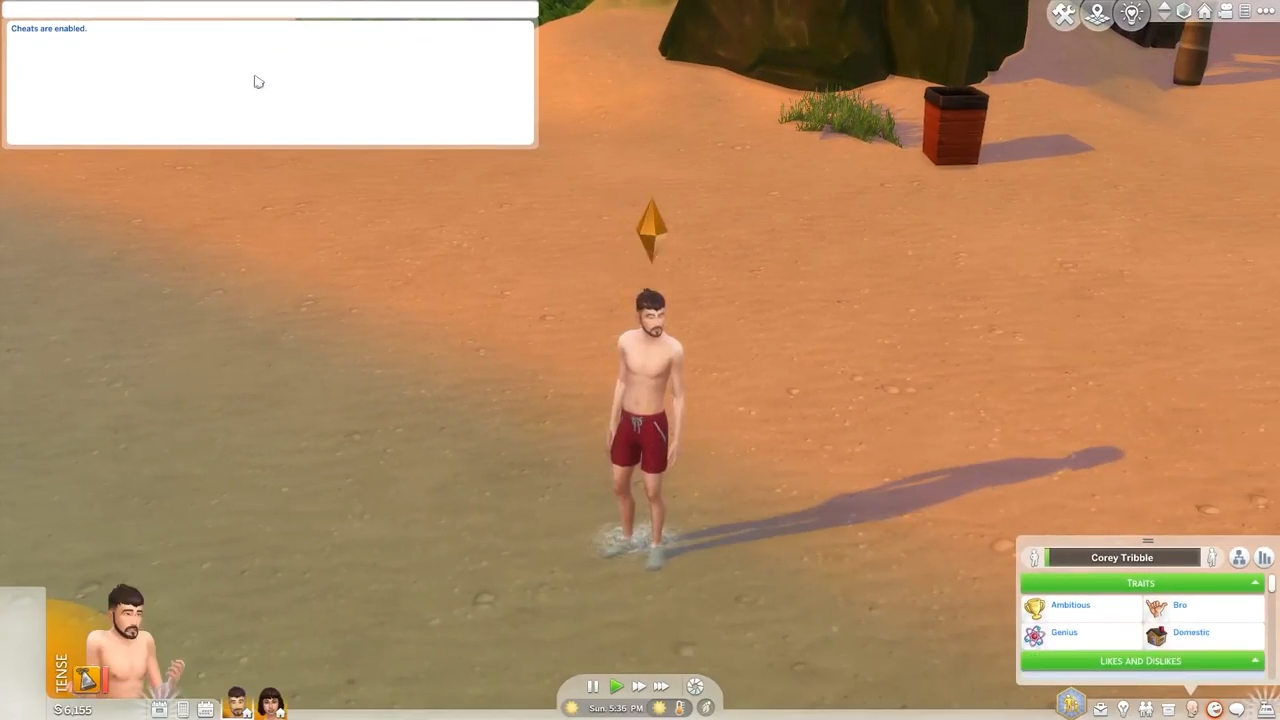 You will see your drowned sim get back to life.  