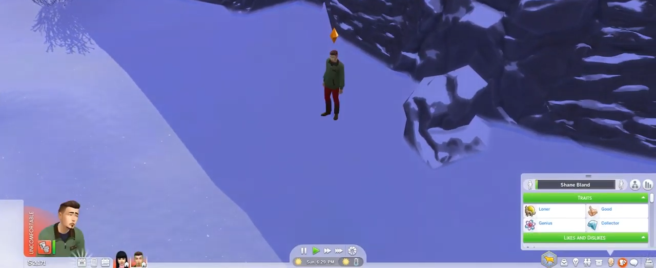 You will see your sim gets back to life.