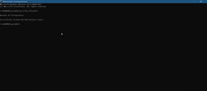  Type in 'ipconfig/flushdns' command and hit enter to execute it. 