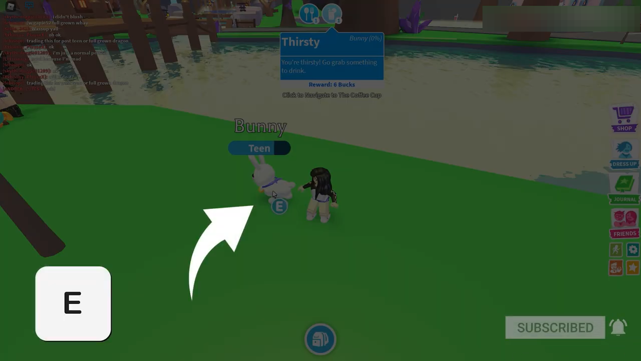 In the game, you have to click on your pet or press E while near them.