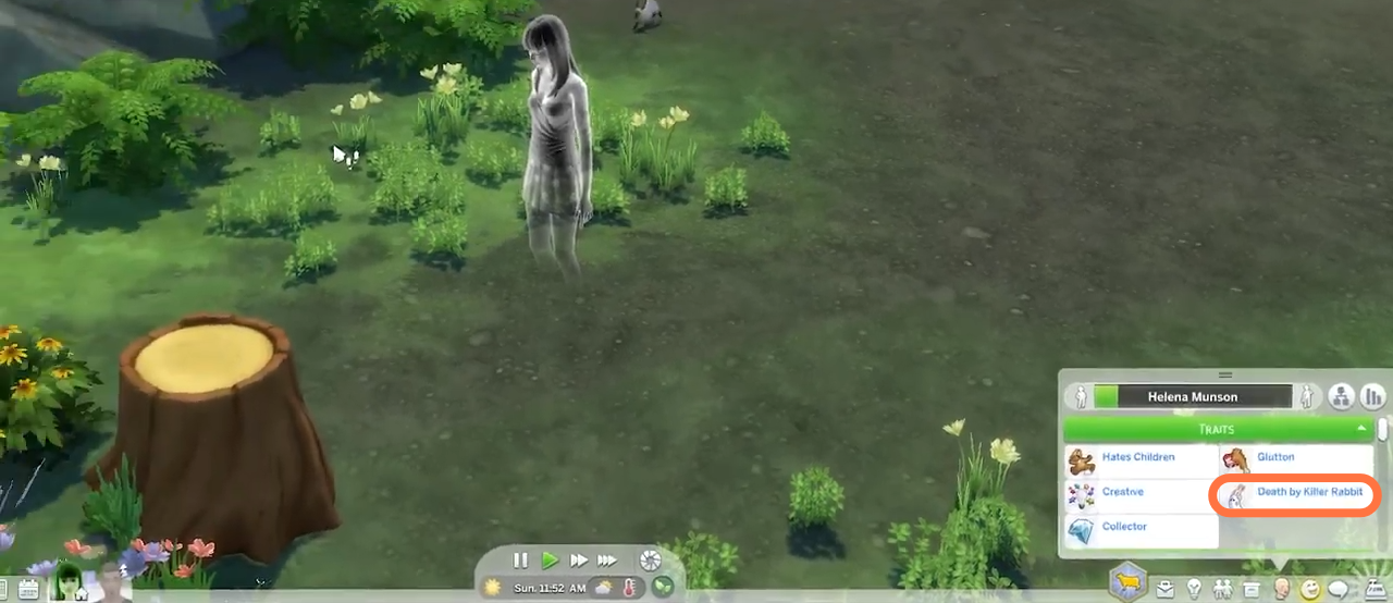 If any of your sims died by killer rabbit, you can get them back from Ghost to human. You will need to press CTRL+Shift+C altogether and hit enter on your keyboard to open the cheat box. 
