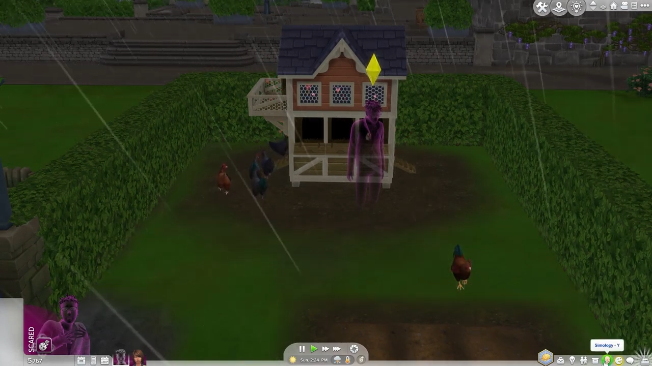 If any of your sims died by Killer Chicken, you can get them back from Ghost to human. You have to press CTRL+Shift+C altogether and hit enter on your keyboard to open the cheat box. 