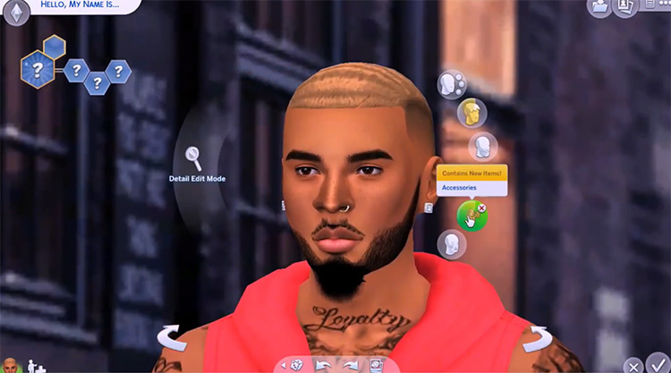 Chris Brown CC Build / The Sims 4