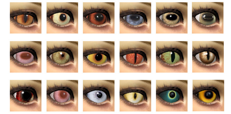 Animal Eyes (21) by Velouriah Sims 4 CC