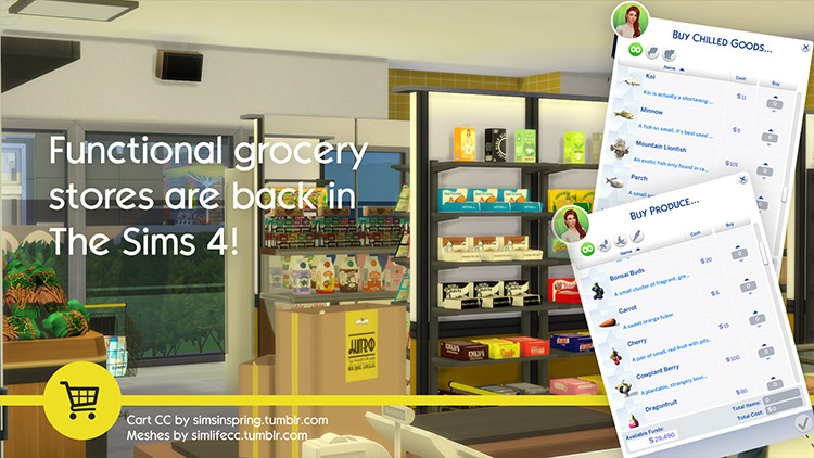 The Grocery Store Mod for Sims 4