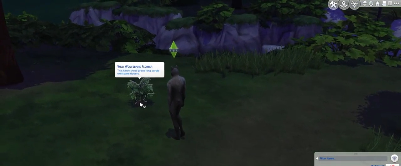 To get back your sim to human form, you need to craft the cure for werewolf lycanthropy. The first thing you need to arrange is at least 10 Wolfsbane flowers. You can collect them by finding from different places or can also plant them in your house garden and  harvest them later