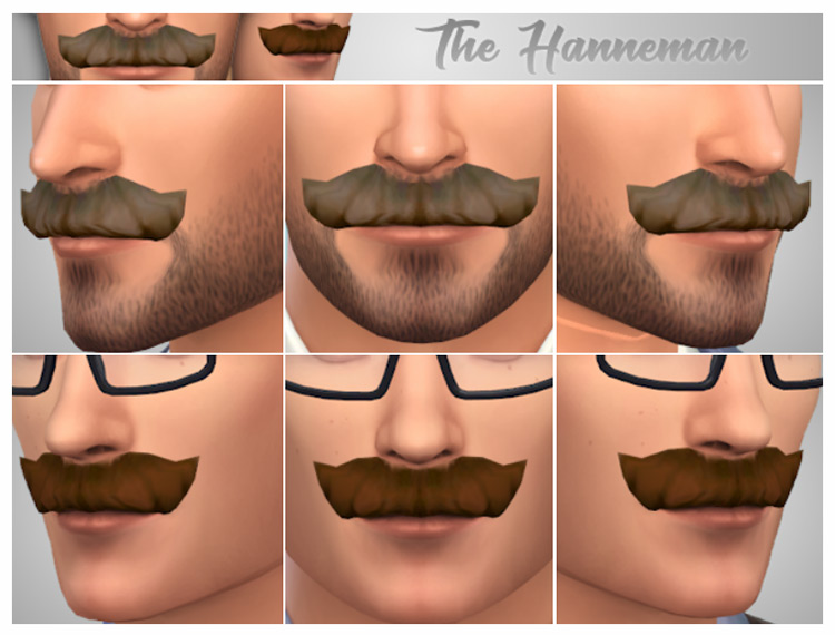 The Hanneman Sims 4 CC