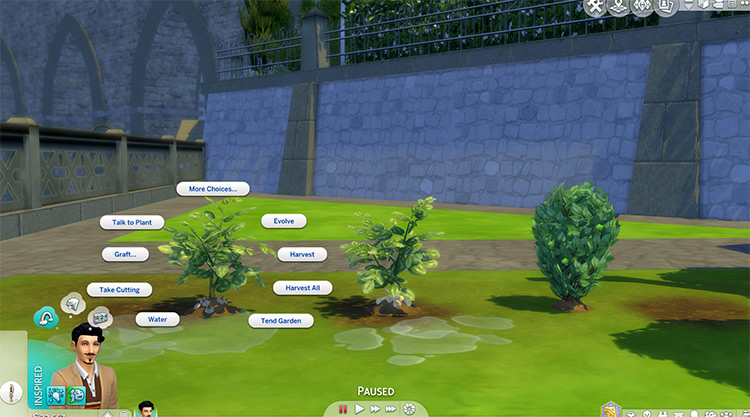 Custom Garlic, Parsnip & Cucumber Plants for The Sims 4