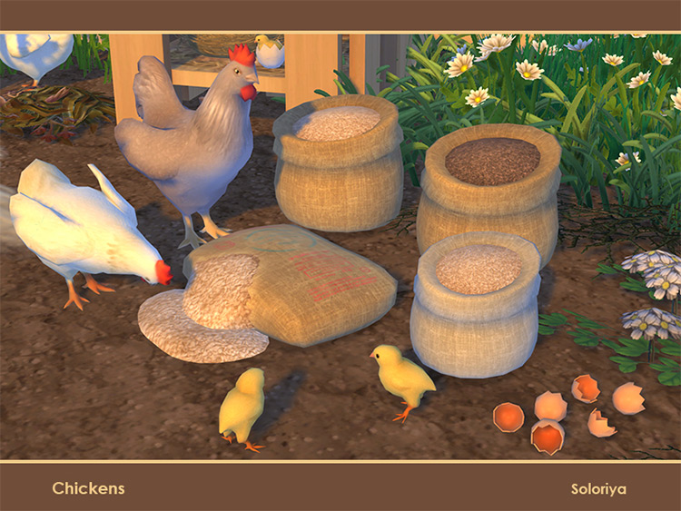 Chickens Set Part 1 for The Sims 4