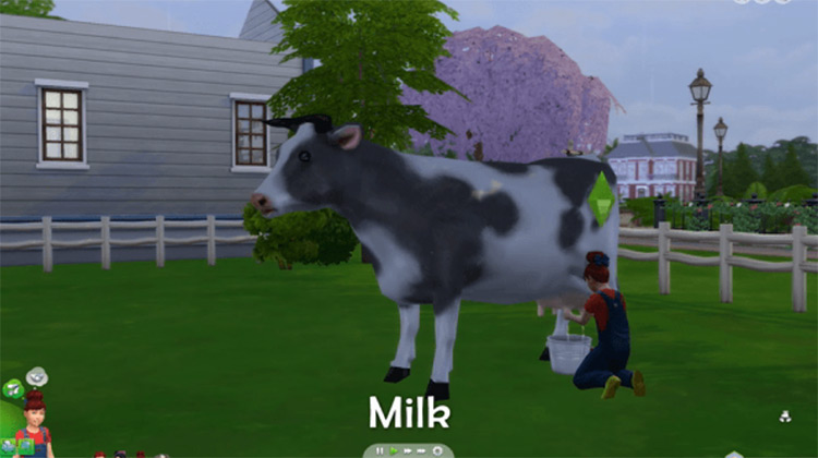 Dairy Cow Mod for The Sims 4
